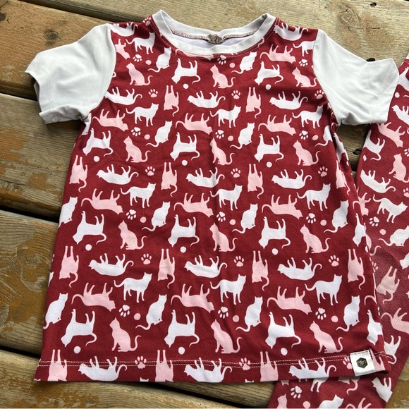 Bumblito 2 Piece Matching Leggings and Short Sleeve Cat Print Top - Size 5/6 - Picture 2 of 5